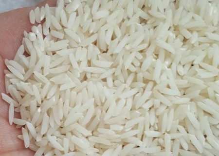 قیمت خرید برنج طارم دم سیاه عمده به صرفه و ارزان